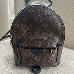 Louis Vuitton Palm Springs Mini